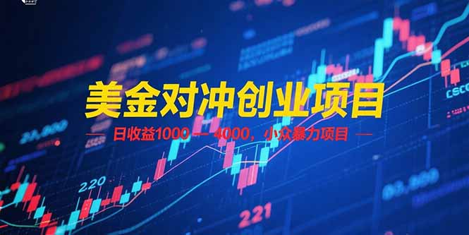 （15187期）美金对冲创业项目，日收益 1000 – 4000，小众暴力项目