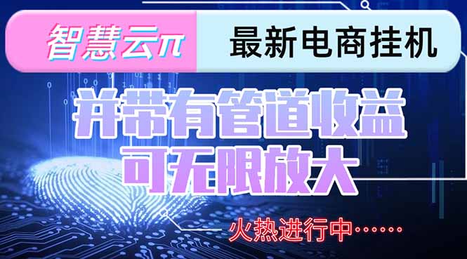 (15314期)智慧云π电脑挂机单机每天收益300—500+ 并带有团队管道收益 可无限放大
