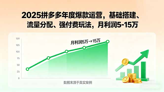 （15973期）2025拼多多年度爆款运营，基础搭建、流量分配、强付费玩法，月利润5-15万