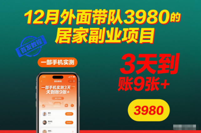 12月外面带队3980的居家副业项目，一部手机实测3天到账9张+，首发教程