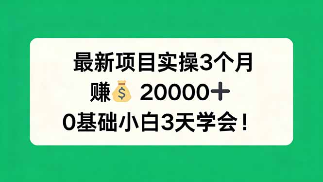 （17856期）最新项目实操3个月，赚钱20000+，0基础小白3天学会！